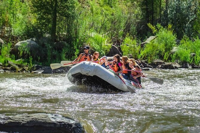 Durango Half Day Rafting Trip - Lower Animas River - Class III Smelter Rapid and changing water flow