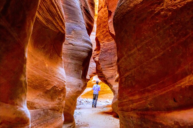 East Zion Crimson Canyon Hike & UTV Adventure - What happens when water fills the canyon