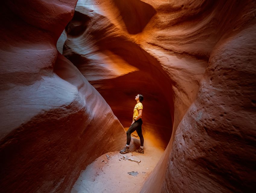 East Zion: Crimson Slot Canyon Exploration and UTV Tour - The essential details at a glance