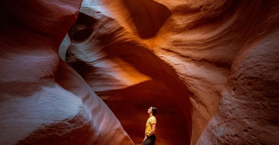 East Zion: Crimson Slot Canyon Exploration and UTV Tour - The UTV ride adds more than transportation
