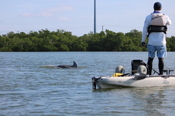Easy Ride Pedal Kayak Tour Marco Island & Naples (Pedal or Paddle - Wildlife sightings depend on nature