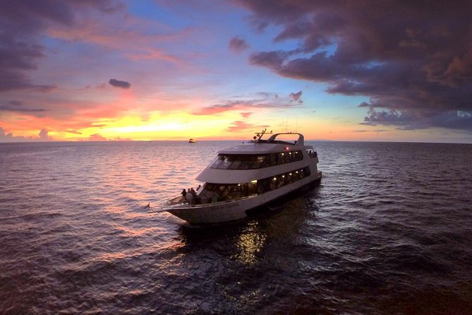 Evening Yacht Cruise with Optional Dining in St. Petersburg - Key details before you book