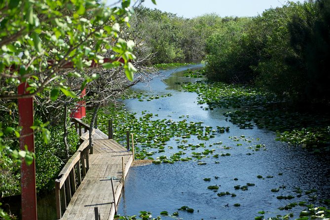Everglades Airboat, Wildlife Show, and Roundtrip Bus From Miami - How the park stop works