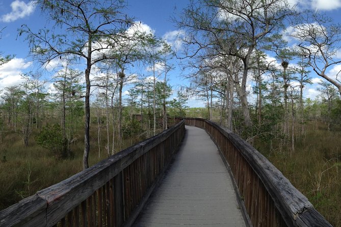 Everglades Day Safari from Ft Lauderdale - Big Cypress shows another side of South Florida