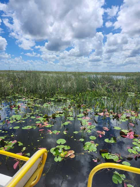 Everglades Eco Airboat Small-Group Tour & 2 Private Islands - Key points to know before booking