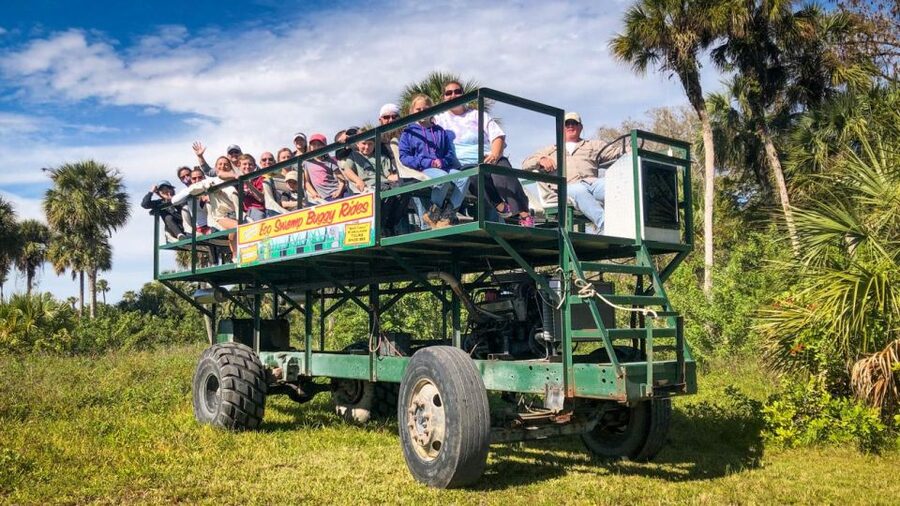 Everglades: Mangrove Maze Airboat Tour and Boardwalk - What the Jungle Erv’s airboat ride is really like