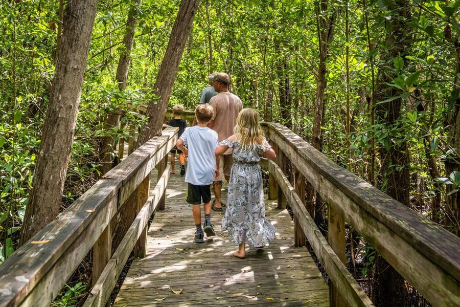 Everglades: Mangrove Maze Airboat Tour and Boardwalk - How to make the most of your visit