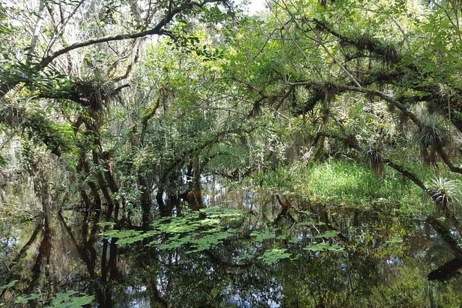 Everglades National Park Biologist Led Adventure: Cruise, Hike + Airboat - The River of Grass by airboat
