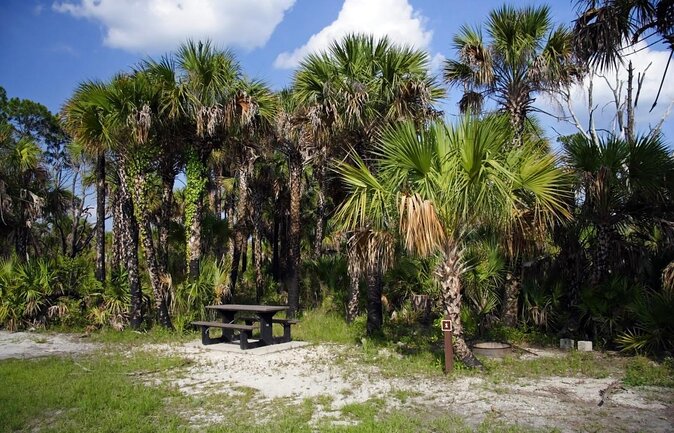 Everglades National Park Biologist Led Adventure: Cruise, Hike + Airboat - The ride south from Fort Lauderdale and Miami