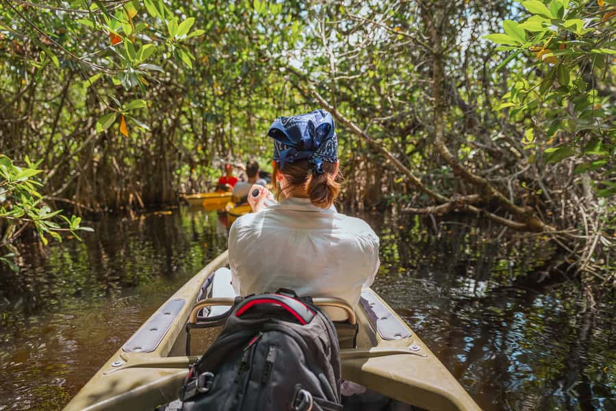 Everglades National Park: Mangrove Tunnel Kayak Eco-Tour - Paddling into the mangrove tunnels