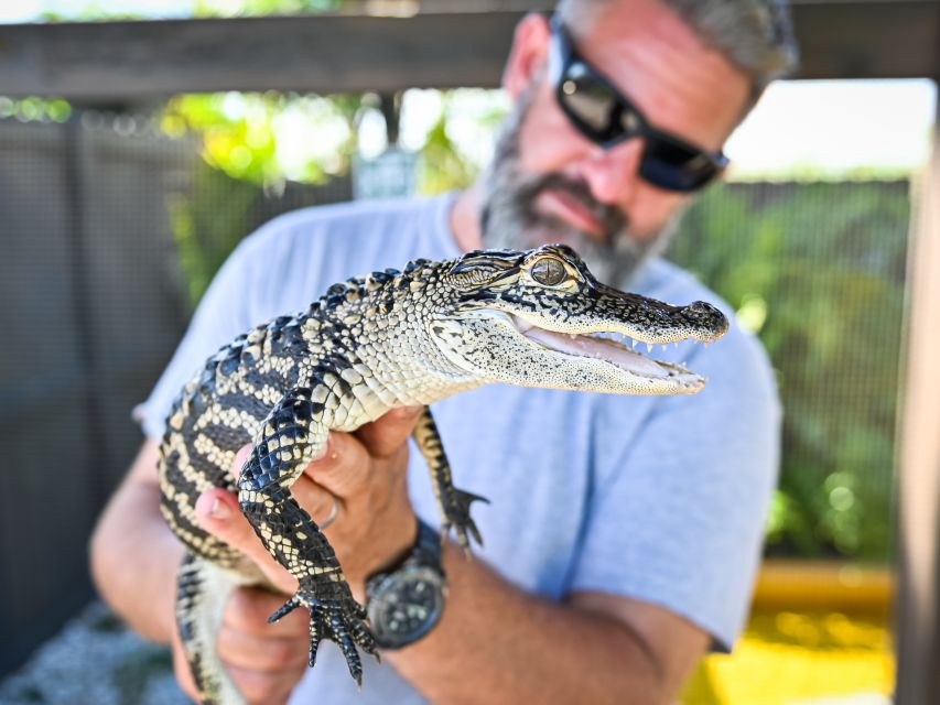 Everglades: Sawgrass Park Day Time Airboat Tour & Exhibits - What you may see in the Everglades