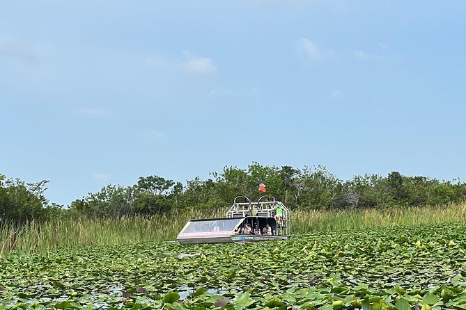 Everglades Small-Group Tour from Miami with Transportation - The alligator presentation adds useful context