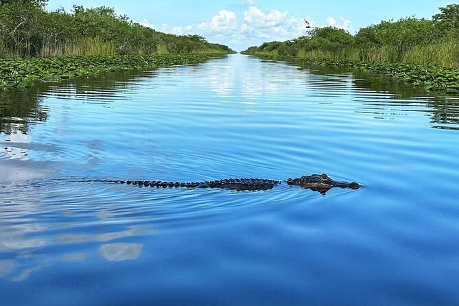 Everglades Small-Group Tour from Miami with Transportation - The real value at $82.98