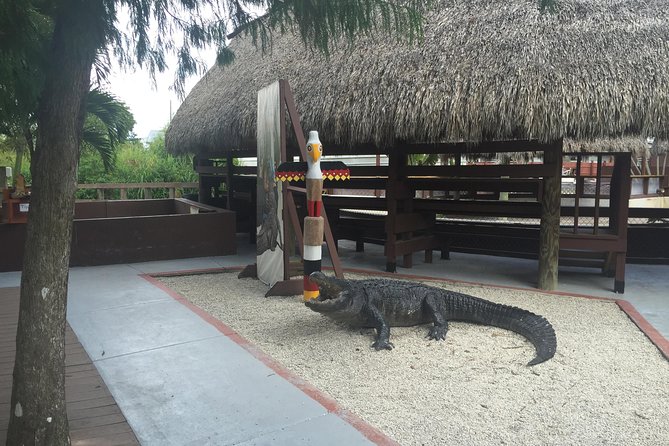 Everglades Small-Group Tour from Miami with Transportation - Alligators are the prize, but sightings are never guaranteed
