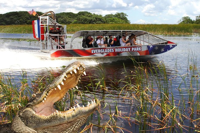 Everglades VIP Airboat Tour with Transportation Included - How the Four-Hour Schedule Really Works