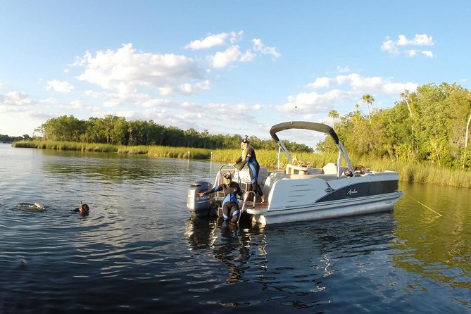 Exclusive Small Group VIP Heated Manatee Snorkel Tour - Meeting Wild Manatees in Crystal River