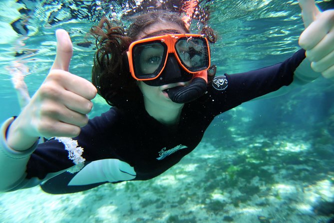 Exclusive Small Group VIP Heated Manatee Snorkel Tour - Who Should Book This Crystal River Tour?