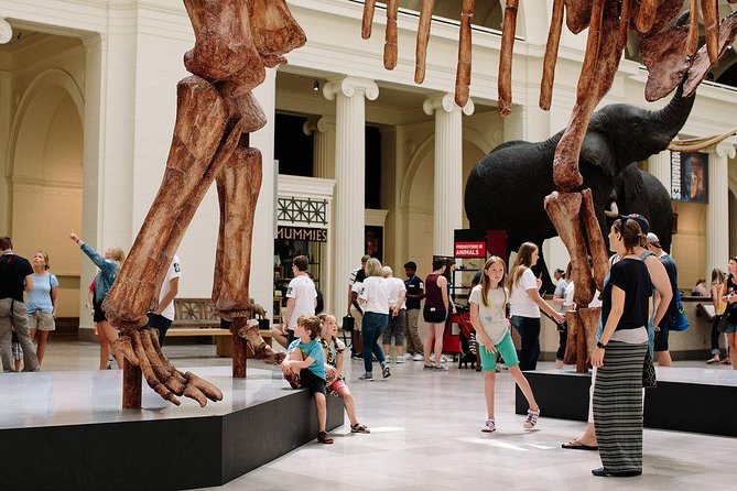Field Museum of Natural History Admission Tickets - Hall of Gems and Chinese jade