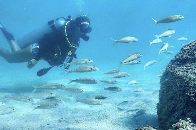 First-Time Scuba Diving in Honolulu + Free Videos - Reaching the 15-foot underwater area
