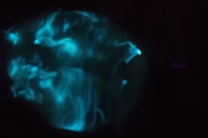 Florida Bioluminescence Kayaking Tour (Titusville) - When to book for the strongest display
