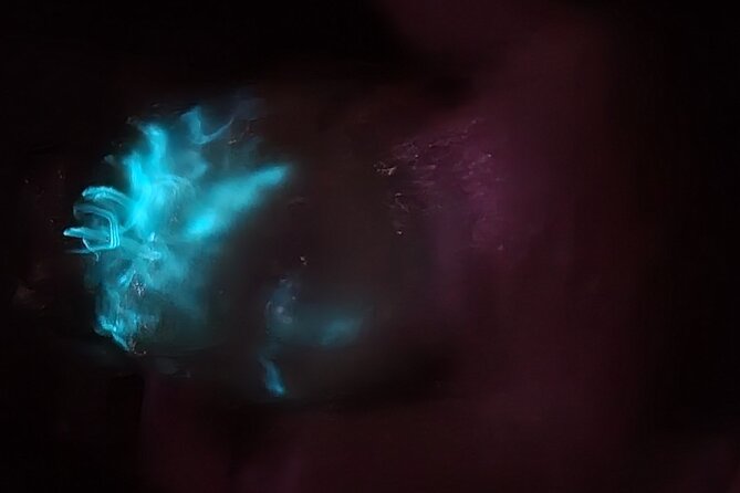 Florida Bioluminescence Kayaking Tour (Titusville) - How much value do you get for $65?