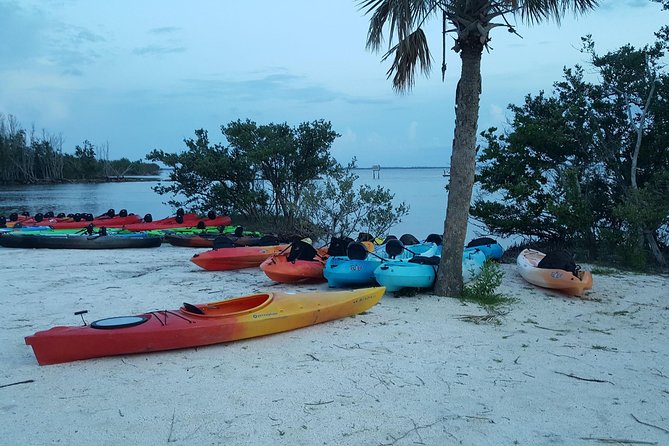 Florida Bioluminescence Kayaking Tour (Titusville) - Group size, instruction, and safety