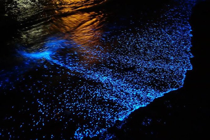 Florida Bioluminescence Kayaking Tour (Titusville) - What happens during the 90-minute tour