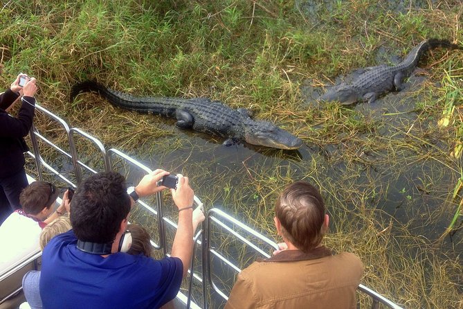 Florida Everglades Airboat Tour and Wild Florida Admission with Optional Lunch - Exploring the included Gator Park