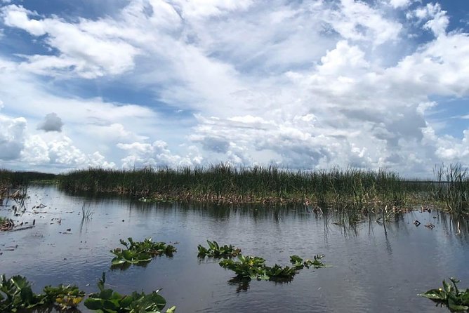 Florida Everglades Airboat Tour and Wild Florida Admission with Optional Lunch - How to plan your time and dress