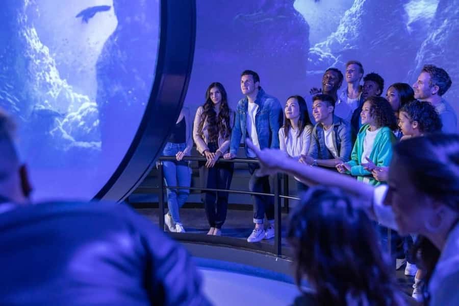 Flyover in Chicago: An Immersive Flying Theatre Experience - Accessibility and ride-seat details