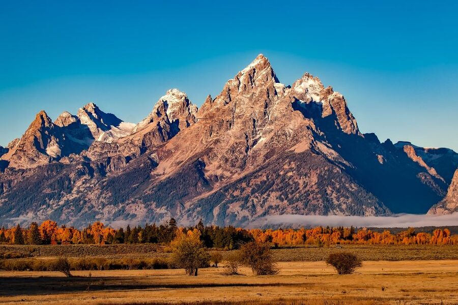From Jackson: Half-Day Grand Teton National Park Tour - Key points to know before you book
