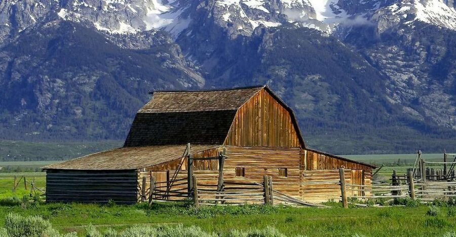 From Jackson: Half-Day Grand Teton National Park Tour - A smart four-hour introduction to Grand Teton