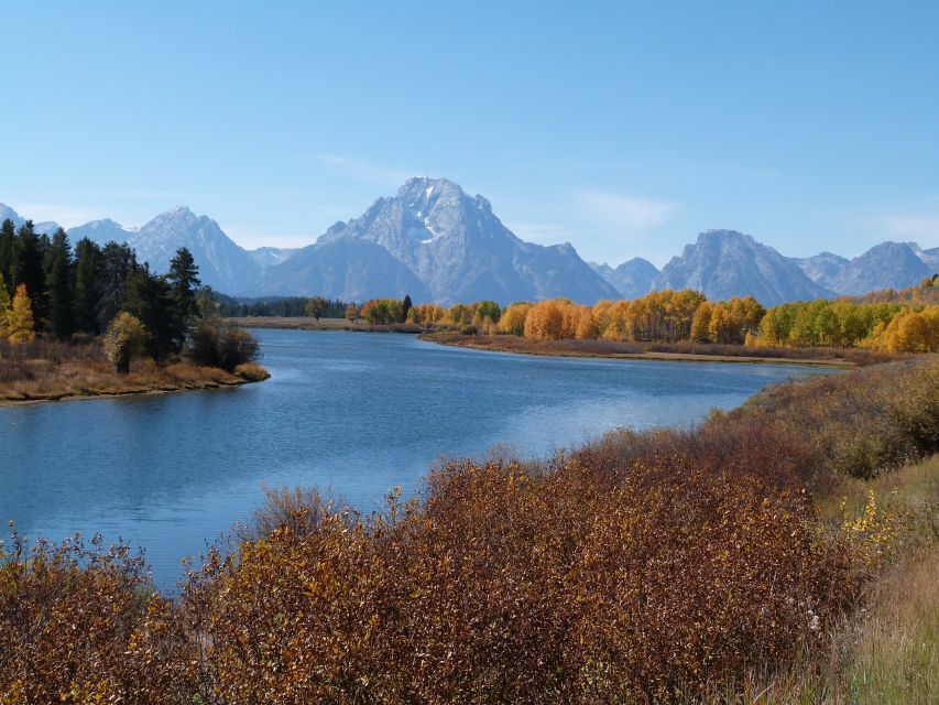 From Jackson: Half-Day Grand Teton National Park Tour - What wildlife viewing is really like