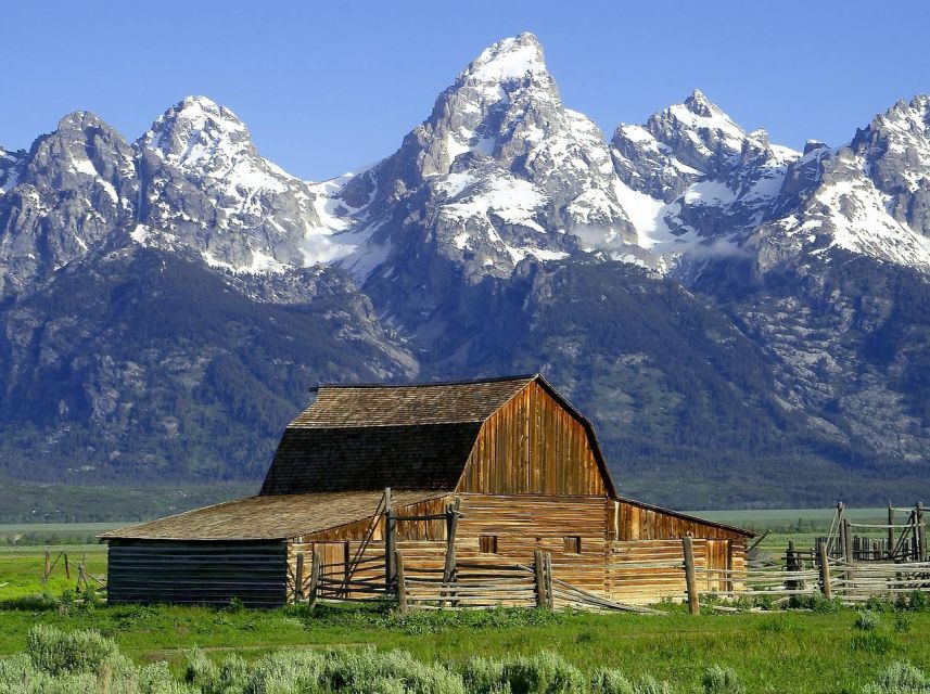 From Jackson: Half-Day Grand Teton National Park Tour - From Jackson to Gros Ventre and Mormon Row