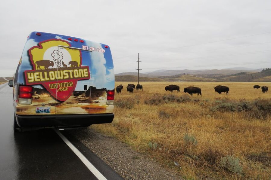From Jackson: Yellowstone Day Tour Including Entrance Fee - Group size, comfort, and the cost of convenience