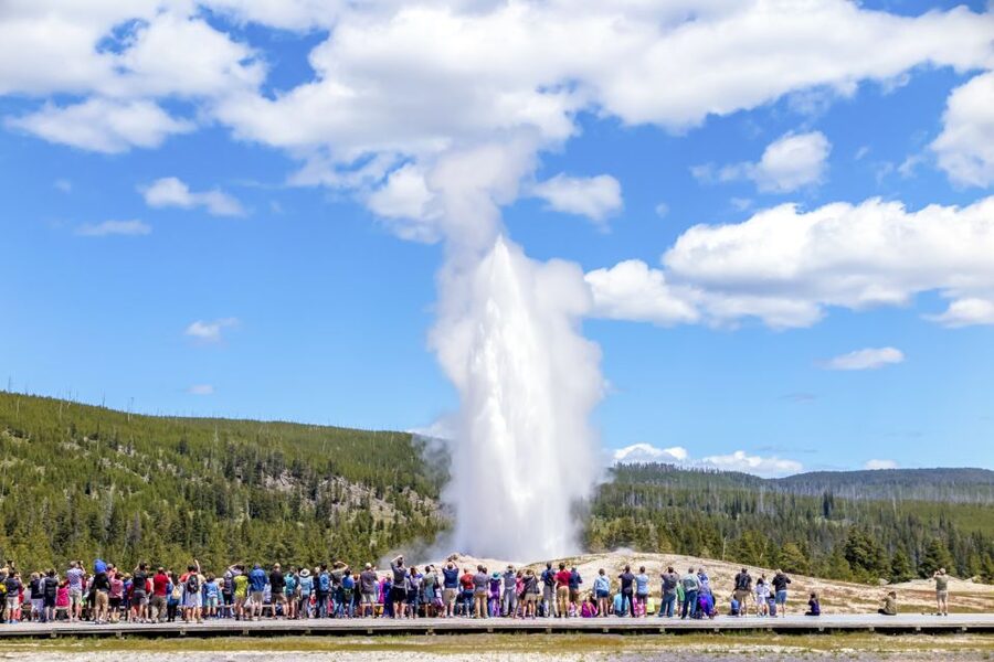 From Jackson: Yellowstone Day Tour Including Entrance Fee - Why this day works for a first look at Yellowstone