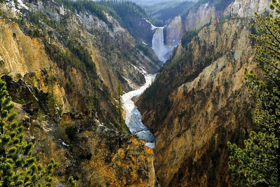 From Jackson: Yellowstone Day Tour Including Entrance Fee - Fountain Paint Pots and the smell of Yellowstone
