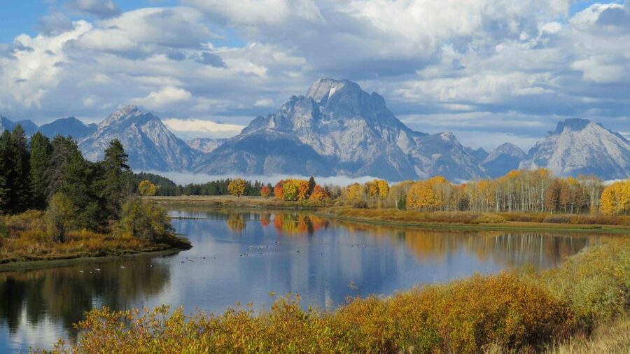 From Jackson: Yellowstone Day Tour Including Entrance Fee - The guides are a major part of the value