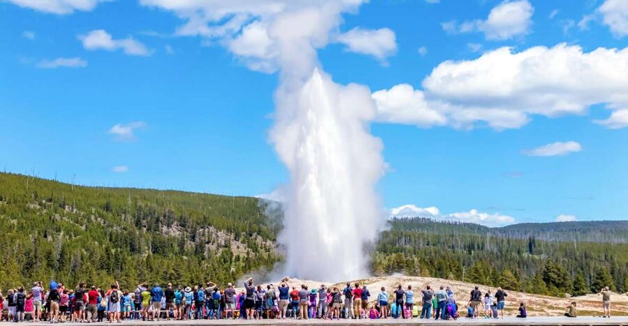 From Jackson: Yellowstone Day Tour Including Entrance Fee - Early pickup through Grand Teton National Park