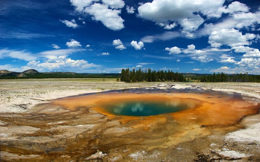 From Jackson: Yellowstone National Park Day Trip with Lunch - Key points to know before booking