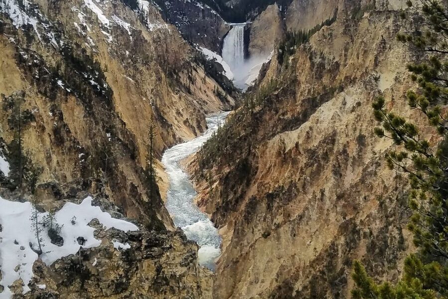 From Jackson: Yellowstone National Park Day Trip with Lunch - Gibbon Falls and the waterfalls of Yellowstone