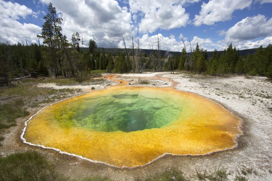 From Jackson: Yellowstone National Park Day Trip with Lunch - Sulphur Cauldron, Mud Volcano, and Lake Yellowstone