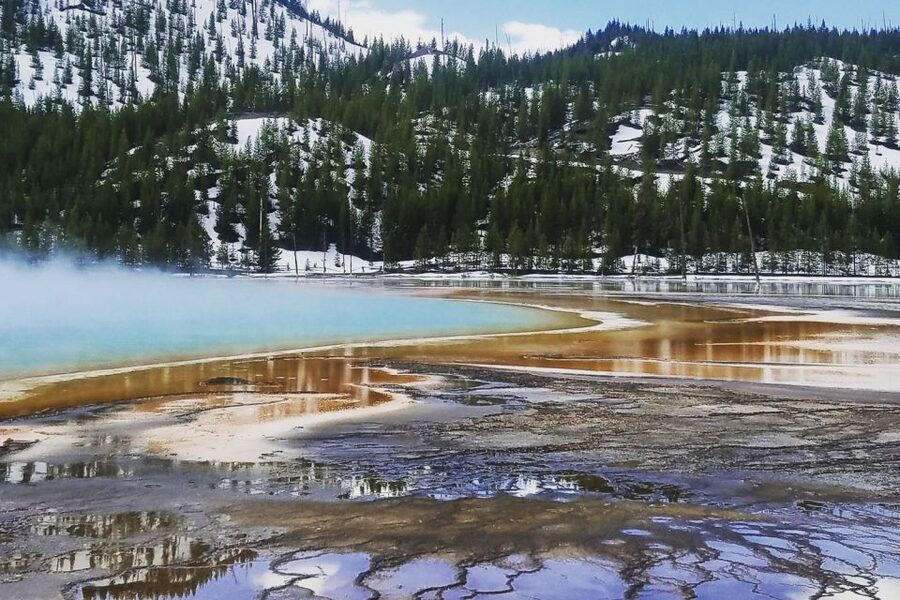 From Jackson: Yellowstone National Park Day Trip with Lunch - What the guides add to the day