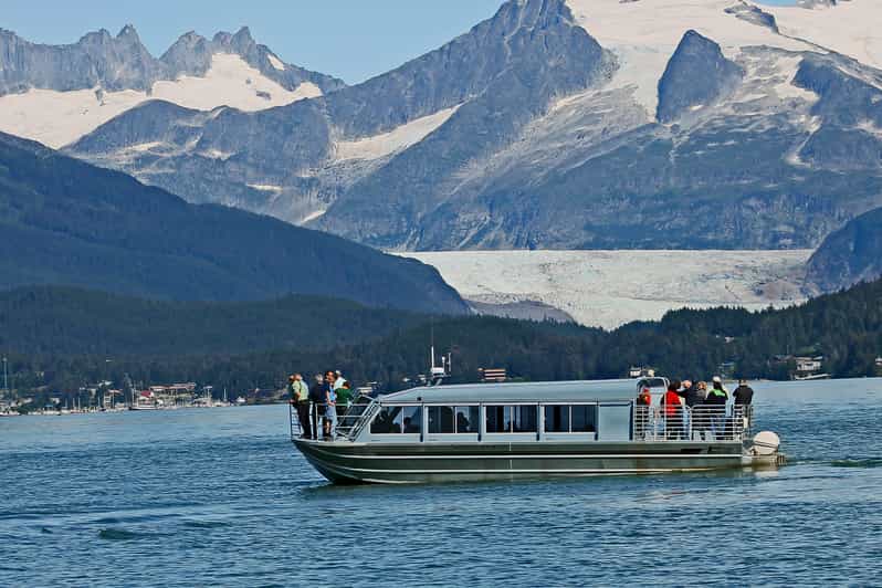 From Juneau: Whale Watching Cruise with Snacks - Should you book it?