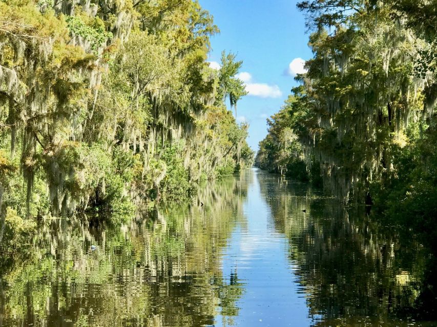 From Lafitte: Swamp Tours South of New Orleans by Airboat - Should you book the Lafitte airboat tour?