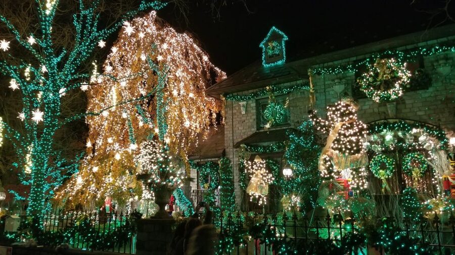 From Manhattan: 4-Hour Brooklyn Christmas Magic Tour - Who should book this Christmas tour?
