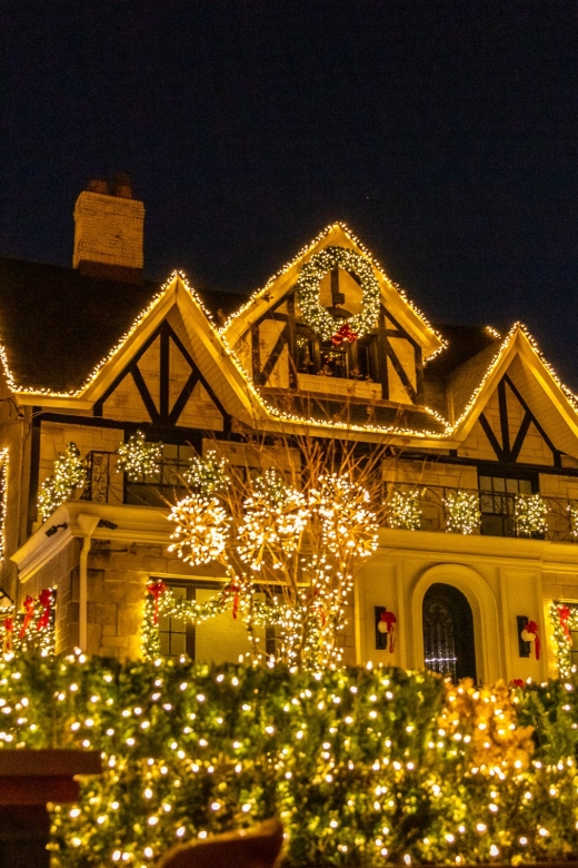 From Manhattan: 4-Hour Dyker Heights Holiday Lights Bus Tour - What the decorations are really like
