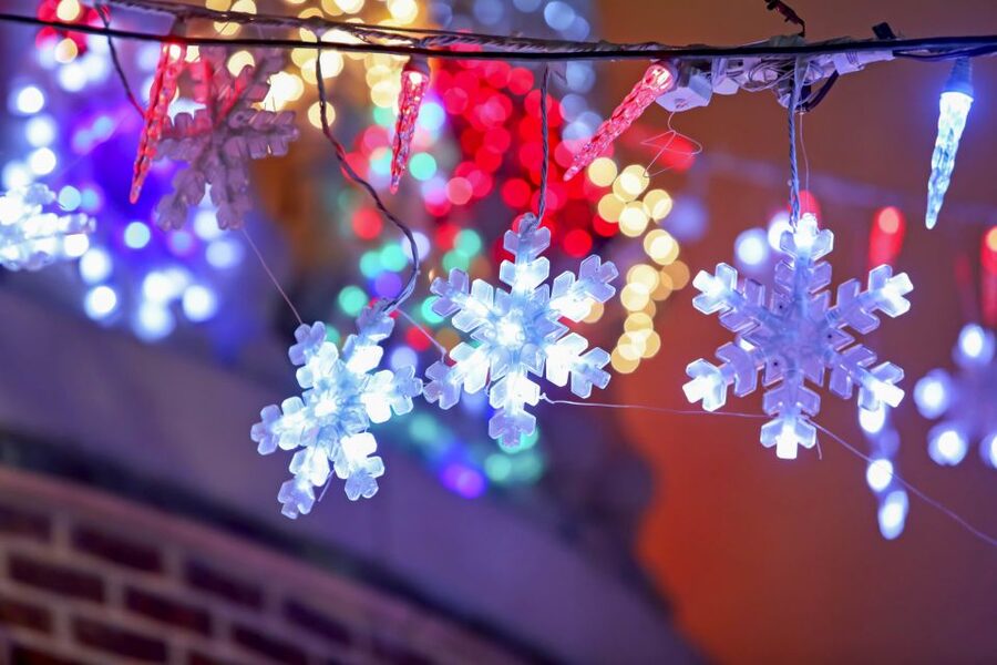 From Manhattan: Dyker Heights Lights & Skyline Tour - The Brooklyn Bridge Park photo stop