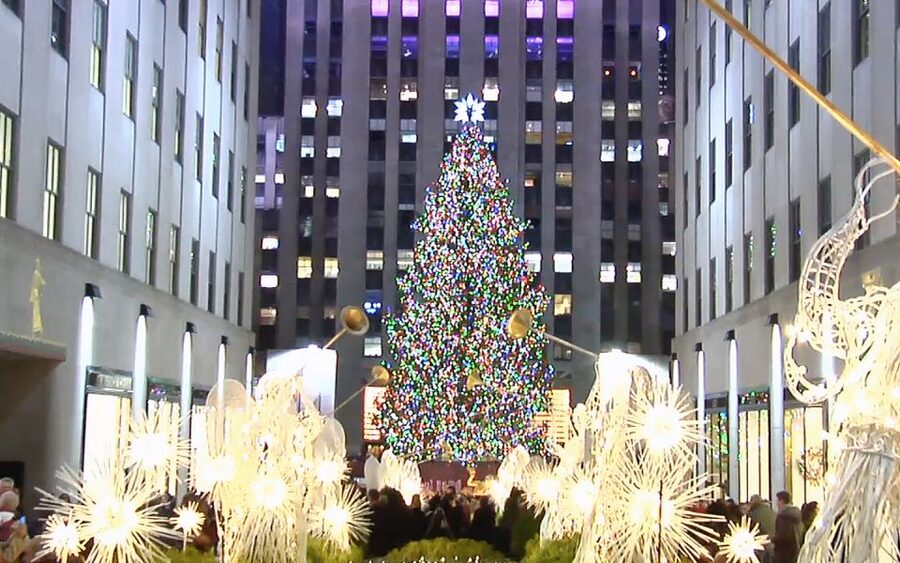 From Manhattan: Dyker Heights Lights & Skyline Tour - Is $55 good value?