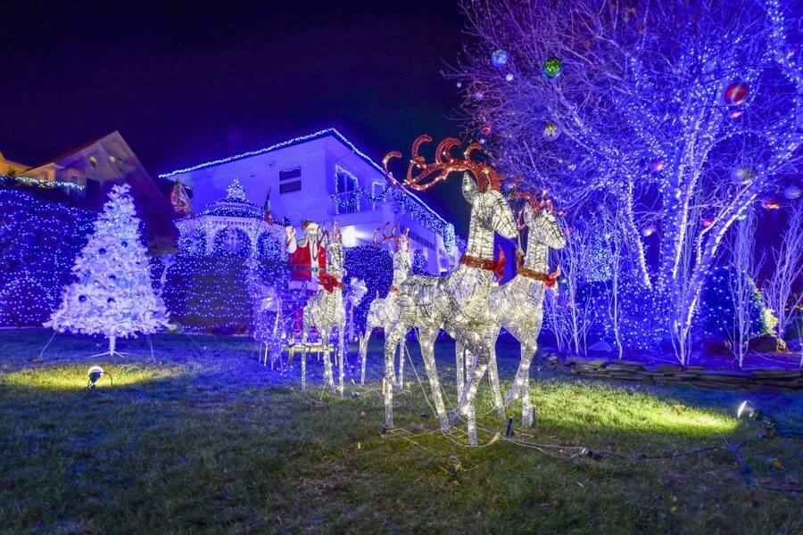 From Manhattan: Dyker Heights Lights & Skyline Tour - Who will enjoy this most?